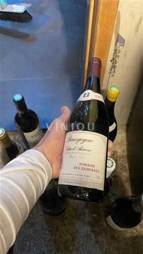 Burgund Bourgogne Côtes d'Auxerre Domaine Remparts 2002