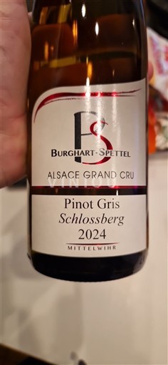 Viner Blanc sec Pinot Gris Schlossberg Burghart-Spettel 2024 Frankrike Alsace Ikke spesifisert AOC Grand Cru
