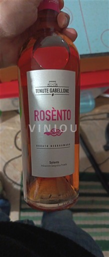 Puglia Susumaniello Salento Tenute Gabellone Rosènto 2022