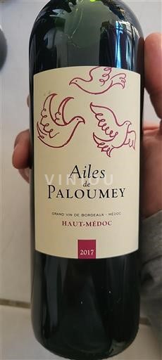 Bordo Haut-Médoc Château Paloumey Ailes de Paloumey 2017