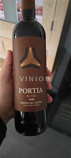 Kastilja dhe Leoni Ribera del Duero Portia Roble 2022
