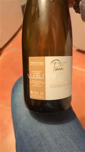 Dolina Loare Кото де Лејон Domaine Pinoreau Невинтиджирано
