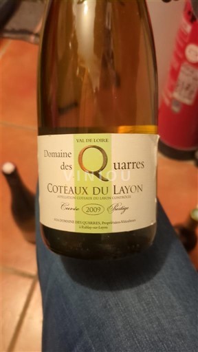 Dolina Loare Кото де Лејон Domaine Quarres Prestige 2009