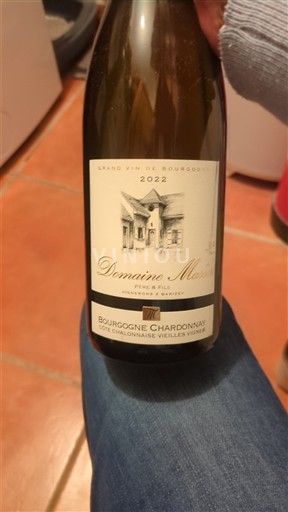 Bourgogne Bourgogne Chardonnay Domaine Masson Côte Chalonnaise Vieilles Vignes 2022