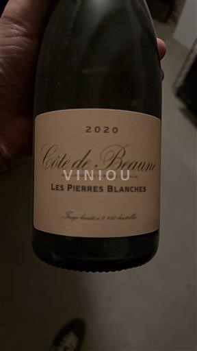 Burgundija Côte-de-beaune Côte de Beaune Les Pierres Blanches 2020