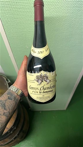 Bourgogne Gevrey-chambertin Premier Cru Les champrenets 1er Cru Les Champeaux 2017