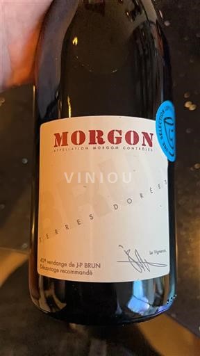 Viinit Rouge sec Terres Dorées Domaine Terres Dorées 2023 Ranska Beaujolais Morgon AOC