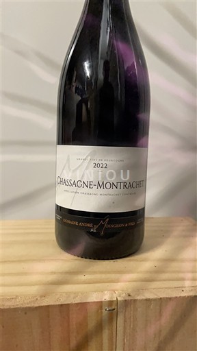 Burgundi Chassagne-montrachet Domaine André Moingeon & Fils 2022