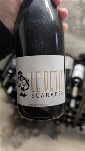 Linguadoca e Rossiglione Paese d'Oc Escavarailles Le petit scarabée Senza annata