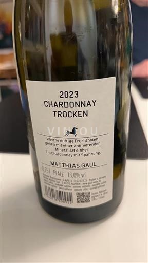 Pfalzi Matthias Gaul 2023