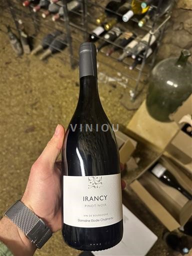 Burgundija Irancy Domaine Eté de Charmoy Neleten.