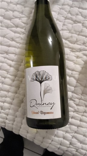 Вина Blanc sec Gérard Bigonneau 2020 Francuska Dolina Loare Кенси AOC