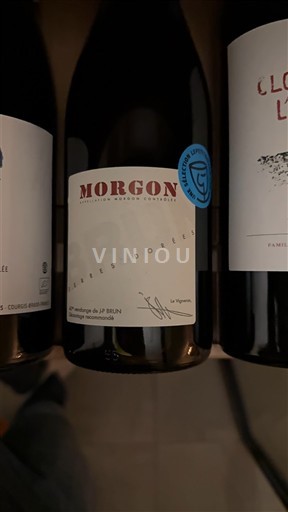 Vina Rouge sec Pierres Dorées Domaine Terres Dorées 2023 Francija Beaujolais Morgon AOC