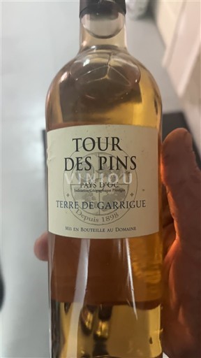 Viner Blanc sec Terre de Garrigue Tour des Pins 2015 Frankrike Languedoc og Roussillon Pays d'oc IGP