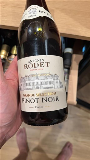 Burgundi Antonin Rodet Grande Sélection 2023