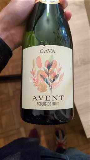 Katalonja Kava Avent Jo Viti