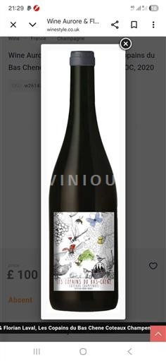 Valle della Loira Coteaux charitois Florian Laval Les Copains du Bas Chene 2020