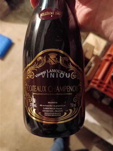 Viner Rouge sec Vincent Lamoureux 2022 Frankrike Champagne Coteaux champenois AOC
