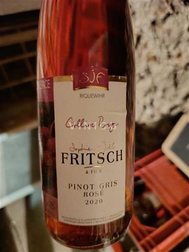 Alsace Pinot gri. Fritsch & Fils Colline Rouge 2020