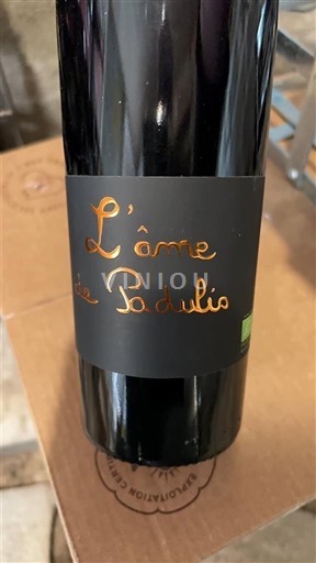 Korzika Nespecificirano Domaine Padulicciu L’âme Невинтиджирано