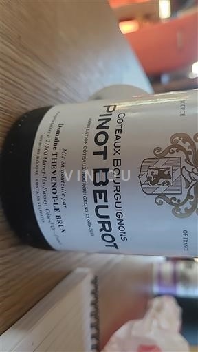 Borgoña Coteaux de Borgoña Domaine Thevenot-le-Brun 2022