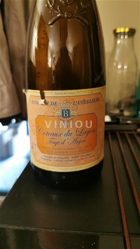 Dolina Loare Кото де Лејон Domaine L'Angelière Faye d'Anjou 2017