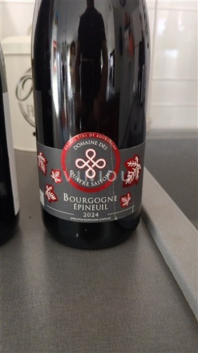 Burgundi Burgundi Epineuil Domaine Quatre Saisons 2024