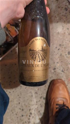 Lugina e Luarës Kodrat e Aubançës Cuvée des Schistes Jo Viti