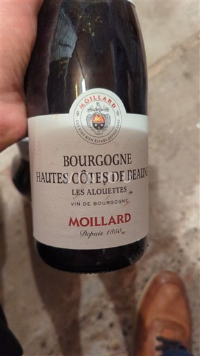 Burgundija Nespecificirano Moillard Les Alouettes 2019