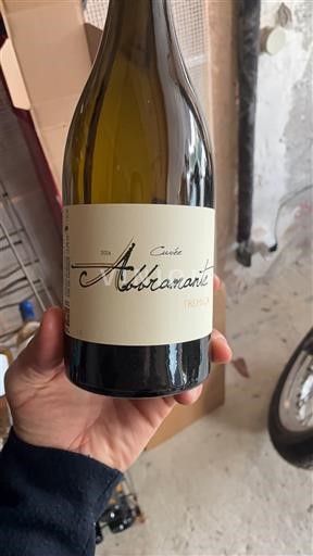 Korsika Ajaccio Tremica Abbramante 2020