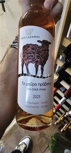 Maqedoni E paspecifikuar Nico Lazaridi The Black Sheep 2023