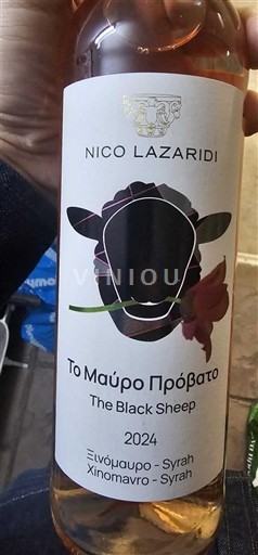 Maqedoni E paspecifikuar Nico Lazaridi The Black Sheep 2024