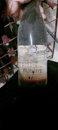 Burgundi Savigny-lès-Beaune Domaine Pierre Guillemot Vieilles Vignes Jo Viti