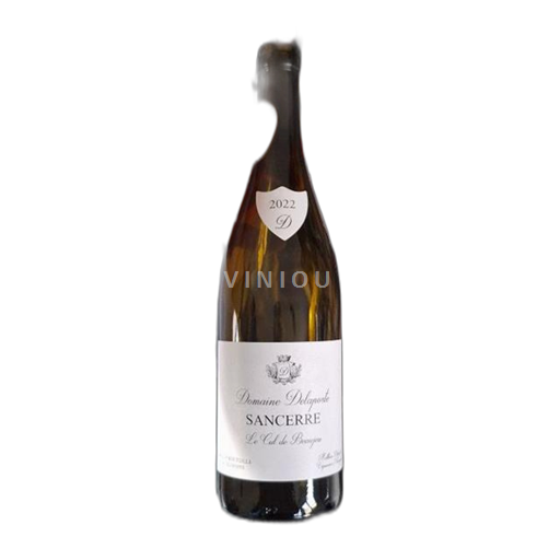 Loiredalen Sancerre Domaine Vincent Delaporte Cul de Beaulieu 2022