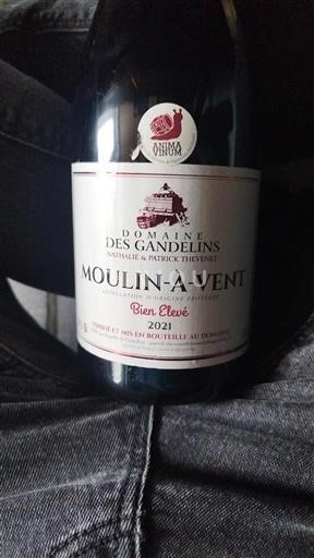 Beaujolais Moulin-à-vent Domaine Gandélins Bien Élevé 2021