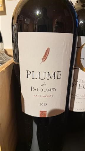 Viner Rouge sec Plume de Paloumey Château Paloumey 2015 Frankrike Bordeaux Haut-Médoc AOC