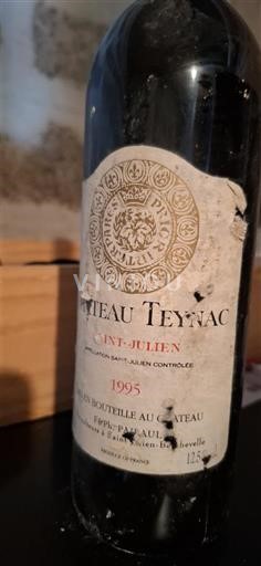 Вина Rouge sec Château Teynac 1995 Франція Бордо Сен-Жюльєн AOC