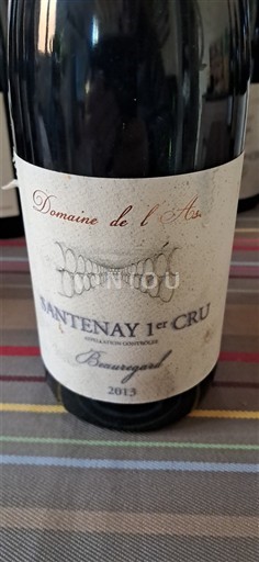Borgoña Santenay Premier Cru Domaine L'Aste Beauregard 2013