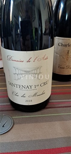Borgoña Santenay Premier Cru Domaine L'Aste Clos des Mouches 2018