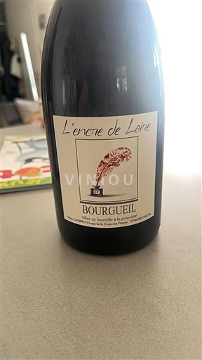 Lugina e Luarës Bourgueil L'encre de Loire 2023