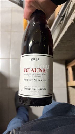 Borgoña Beaune Domaine Les 3 Âmes Premier Millésime 2019