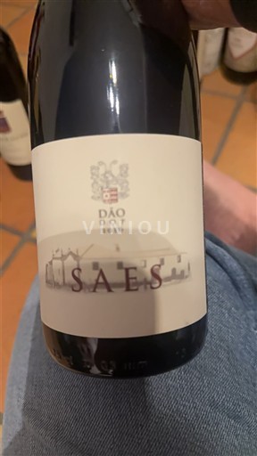 Вина Rouge sec Saes 2018 Португалія Португалія Дау DOC