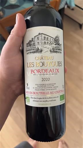 Вина Rouge sec Château Les Bouygues 2020 Francuska Bordo AOC
