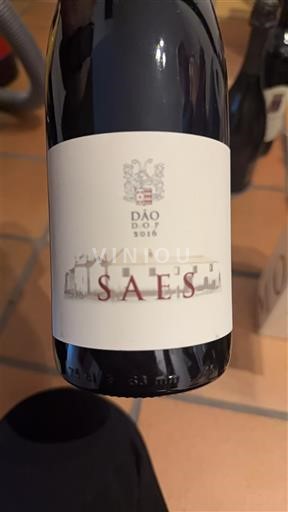 Португалія Дау Saes 2016