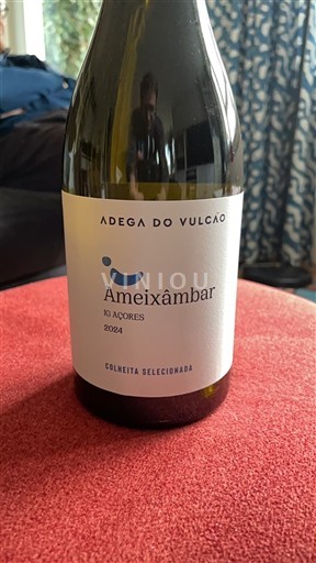 Азорска Острва Adega do Vulcão Ameixâmbar 2024