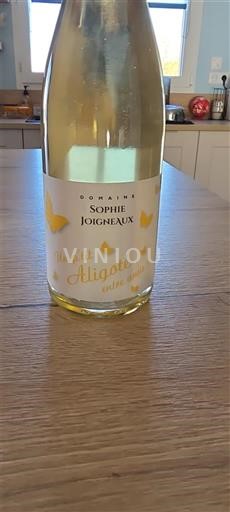 Viner Blanc sec Un p'tit Aligoté entre amis Domaine Sophie Joigneaux 2024 Frankrike Bourgogne Bourgogne Aligoté AOC