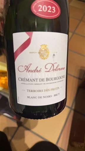 Burgundi Crémant-de-Bourgogne André Delorme Terroirs des Fruits 2023
