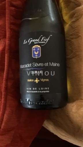 Lugina e Luarës Muscadet-sèvre-et-maine Le Grand Fief Vieilles Vignes 2024