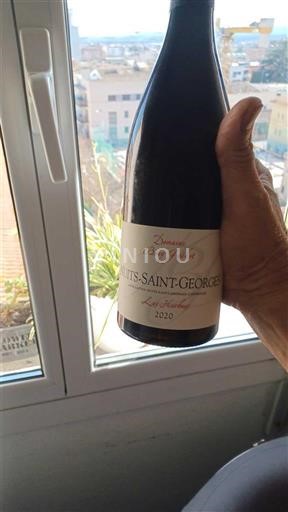 Burgundi Nuits-Sainte-Georges Domaine Benoit Perret Les Foucherots 2020