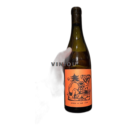 Pfalzi Phillip Müller Naked in the wild 2023